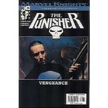 Punisher (Vol 3) # 025 NM MODERN AGE COMICS