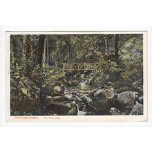 The Fairy Glen Penmaenmawr Postcard Peacock Brand Series