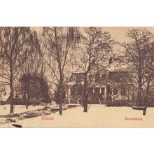 Odense Nonnebakken Denmark Antique Postcard