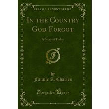 In the Country God Forgot: A Story of Today (Classic Reprint)