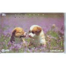 Puppies V3 Japan NTT Phone Card
