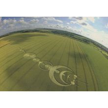 Windmill Hill Wiltshire Crop Circle Postcard