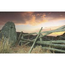 Welsh Broken Barbed Wire Gate Fence Pen Caneg Copa Postcard