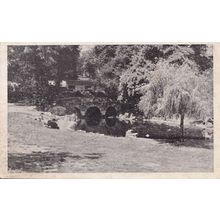 Ironmongers & Chemists on The Green Ealing London Antique Postcard