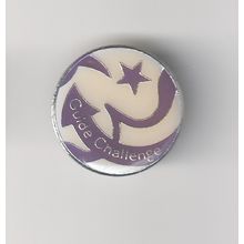 Girl Guide Metal Pin Badge - Challenge - Purple Version - Used (BY450)