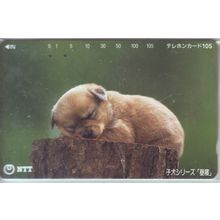 Puppy Sleeping On Trunk Japan NTT Phone Card