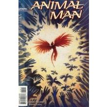 Animal Man (Vol 1) # 079 NM MODERN AGE COMICS
