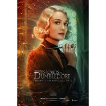 Fantastic Beasts_ The Secrets of Dumbledore (2022)_14 Movie Film Poster Canvas i