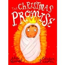 The Christmas Promise Storybook - Alison Mitchell