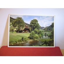 SCHWARZWALD, BLACK FOREST, GERMANY, used vintage postcard 1958 pm =