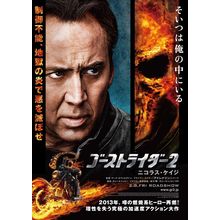 Ghost Rider_ Spirit of Vengeance (2012)_6 Movie Film Poster Canvas iconic design