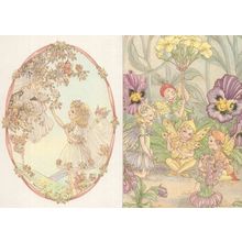 Fairy World Collection Blossom Primrose Pixies 2x Postcard s