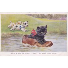 Kitten Floating On Giant Shoe Swimming Dogs Chasing Antique Cat Postcard
