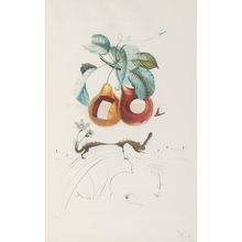 Salvador Dalí (1904-1989). Fruits Trouees (Fruit with Holes), from Les fruits, 1
