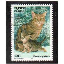 FRA 1999 3F 'DOMESTIC PETS' FINE USED (EBID20179)