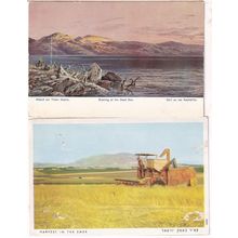Farming Harvest In The Emek Evening At The Dead Sea 2x Isreal Postcard s