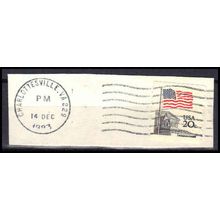 Used 1895 20c U.S. Flag Charlottesville, VA. E2091