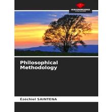 Philosophical Methodology