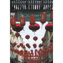 Chinese New Year of the OX London Great Ormond Street Hospital Photo Postcard