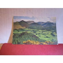 NEWLANDS VALLEY, CUMBRIA. used postcard 1990 pm =