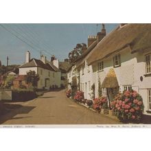 Bridge Street Sidbury Rare Womens Institute Postcard