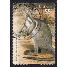 Australia 2009 Species at Risk -Territories J.I. Nailtail Wallaby 55c s/a Used
