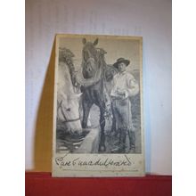 AT THE TROUGH, HORSES used antique postcard by Hildesheimer 1903 pm =