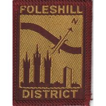 Scout Badge UK - Foleshill - Black Back (BY266)