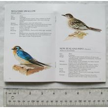 2001 Know Your New Zealand Birds by Murdoch Riley