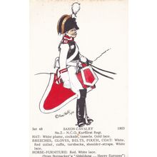 Saxon Cavalry NCO Kurfurst Regiment Napoleonic War PB Uniform Postcard
