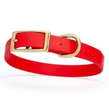 Dog Pet Collar with Brass Hardware Size M W 3/4” L 15” - 18” Cherry Red