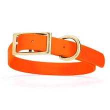 Dog Pet Collar with Brass Hardware Size L W 1” L 18” - 22” Hunter Orange