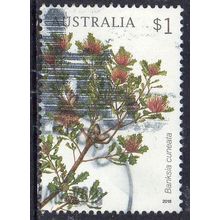Australia 2018 Banksias - Banksia cuneata $1 Sheet Used