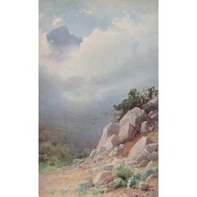 Tree Woodland Krim Crimea Crimean Mountain Russian Antique Postcard