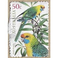 2005 - Green Rosella - 16773