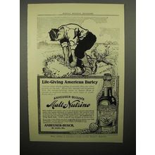 1908 Anheuser-Busch Malt-Nutrine Beer Ad - Barley