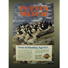 1988 TBS National Geographic Explorer Ad - Puffin Watch