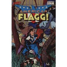 American Flagg! (Vol 1) # 018 NM MODERN AGE COMICS