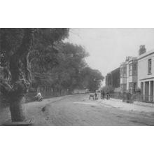 William Fletcher Landscapers Old London Road Bognor Sussex Postcard