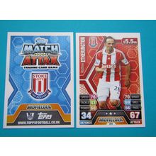 264. Matthew Etherington - Stoke City - Match Attax 2013/14 Football Card EF1