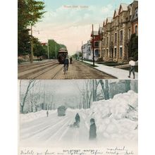 Bicycle Chasing Tram at Grand Allee Quebec Canada Old Postcard & MORE