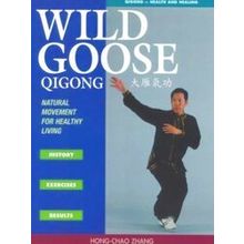 Wild Goose Qigong