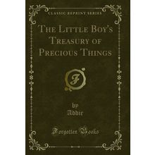 The Little Boy's Treasury of Precious Things (Classic Reprint)