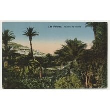 GRAN CANARIA Las Palmas Camino del monte early 20th C. Rodrigues 30 RPPC Spain