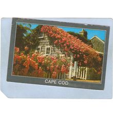 MA Cape Cod Cape Cod Cottage & Roses ma_box2~686