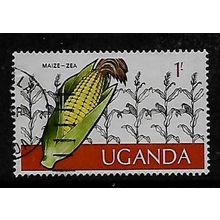 UGANDA 1975 UGANDAN CROPS 1s MAIZE SG 156 FINE USED#