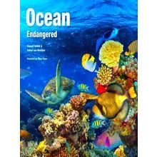 Abandoned Places Ocean Endangered