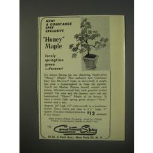 1956 Constance Spry Honey Maple Advertisement