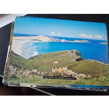 vintage new zealand postcard cape maria van diemen northland