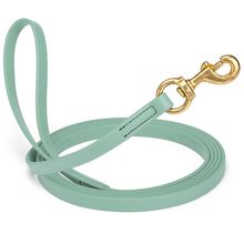 Dog Pet Leash Sage Green w/ Brass Hardware W 5/8" - L33'